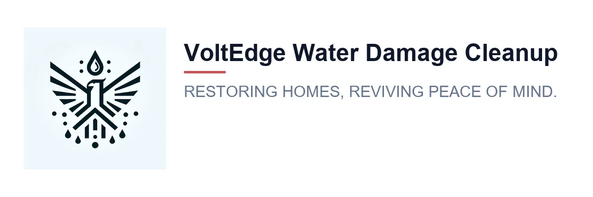 VoltEdge Water Damage Cleanup